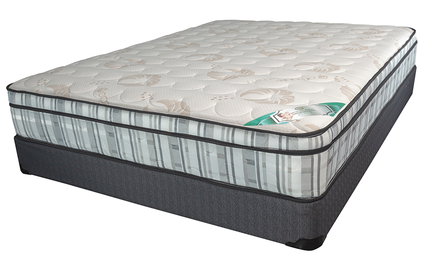 9'' Euro Top Medium Firm Spring Mattress- Com. Sleep