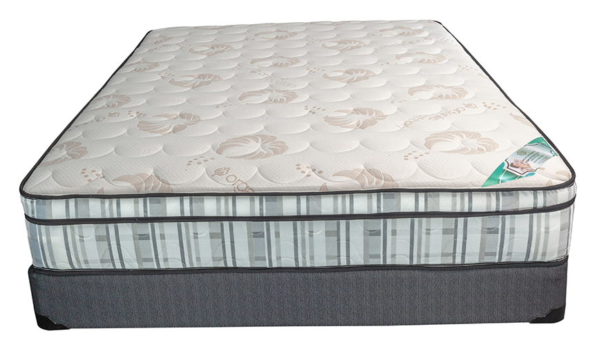 9'' Euro Top Medium Firm Spring Mattress- Com. Sleep
