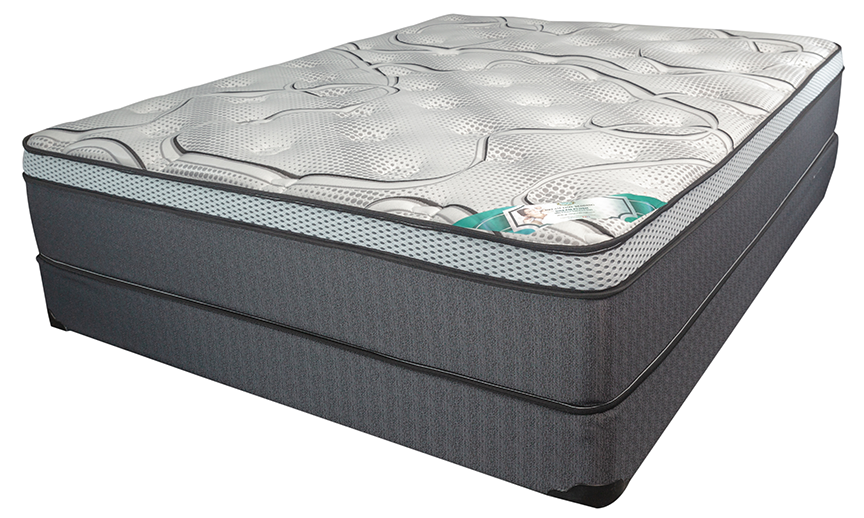 12" Pocket Coil with Latex Foam Topper Medium Firm Mattress- Dream Plush