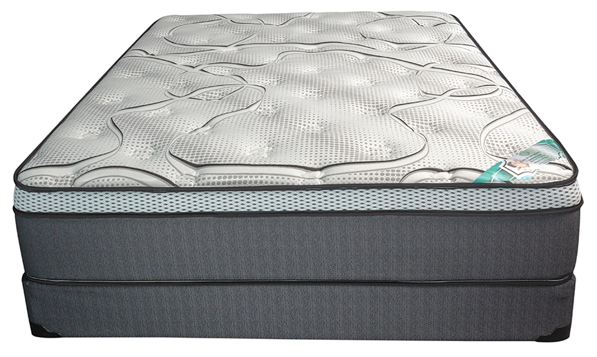 12" Pocket Coil with Latex Foam Topper Medium Firm Mattress- Dream Plush