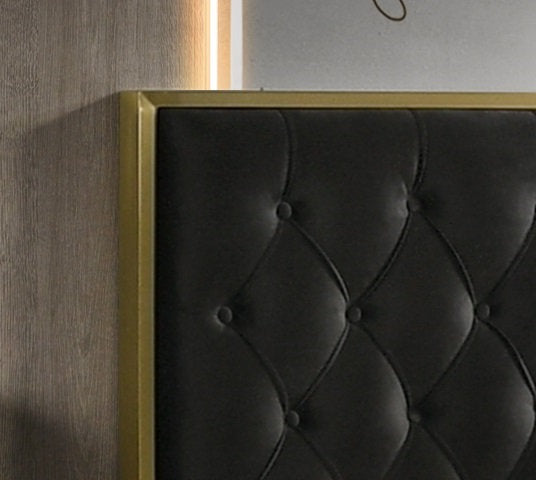 Black Modern Fabric Upholstered Bedroom Set with Golden Trim Finish and Golden Legs- Chloe
